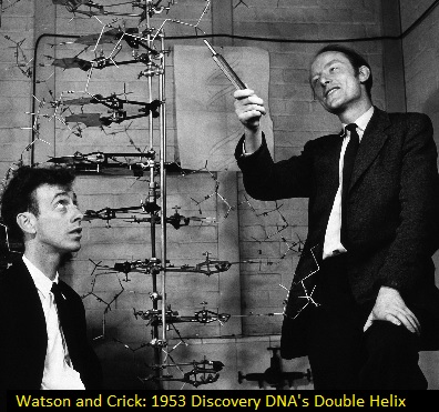 Watson and Crick DNA