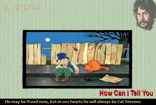 Cat Stevens how can I tell you